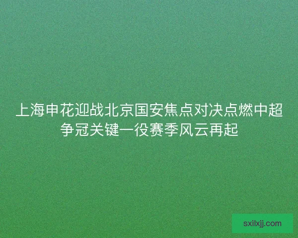 上海申花迎战北京国安焦点对决点燃中超争冠关键一役赛季风云再起